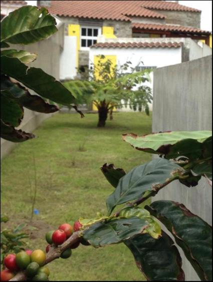 Casa Auri Villa Faial da Terra Exterior photo